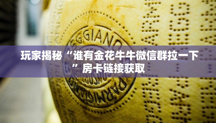 玩家揭秘“谁有金花牛牛微信群拉一下”房卡链接获取 玩家揭秘“谁有金花牛牛微信群拉一下”房卡链接获取