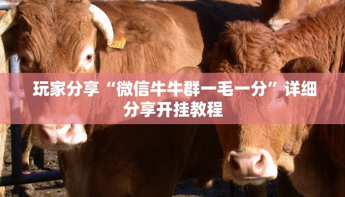  7分钟了解“牛魔王房卡链接”(详细房卡教程)
