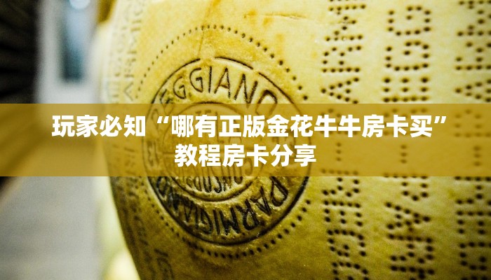 玩家必知“哪有正版金花牛牛房卡买”教程房卡分享 玩家必知“哪有正版金花牛牛房卡买”教程房卡分享