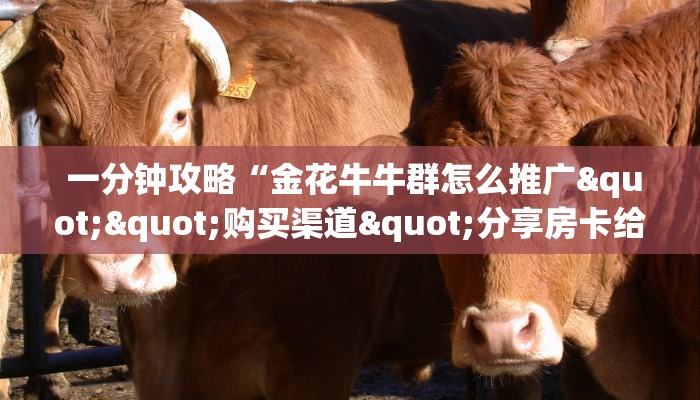 一分钟攻略“金花牛牛群怎么推广""购买渠道"分享房卡给大家 一分钟攻略“金花牛牛群怎么推广""购买渠道"分享房卡给大家