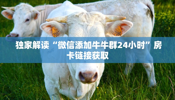 十分讲解“微信房卡炸金花链接挂软件名”房卡使用大全 十分讲解“微信房卡炸金花链接挂软件名”房卡使用大全