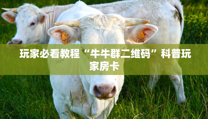  玩家必看教程“牛牛群二维码”科普玩家房卡