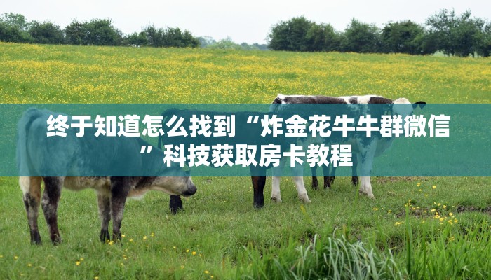  终于知道怎么找到“炸金花牛牛群微信”科技获取房卡教程