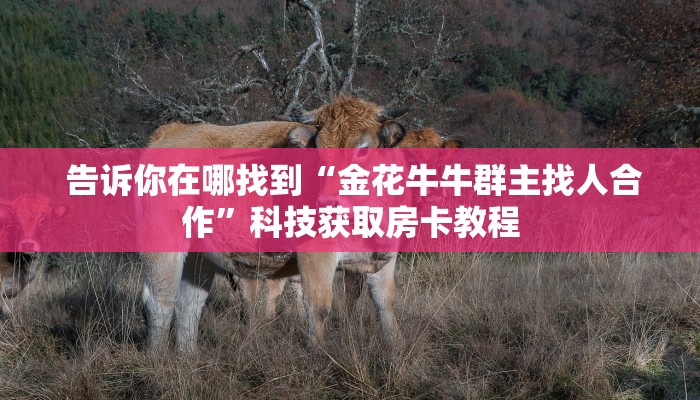 告诉你在哪找到“金花牛牛群主找人合作”科技获取房卡教程 告诉你在哪找到“金花牛牛群主找人合作”科技获取房卡教程
