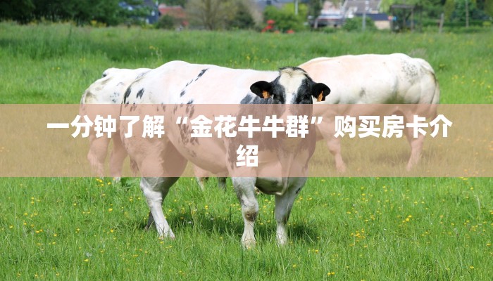 一分钟了解“金花牛牛群”购买房卡介绍 一分钟了解“金花牛牛群”购买房卡介绍