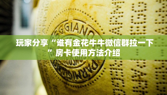 玩家分享“谁有金花牛牛微信群拉一下”房卡使用方法介绍 玩家分享“谁有金花牛牛微信群拉一下”房卡使用方法介绍