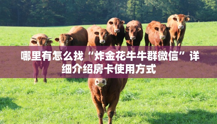 哪里有怎么找“炸金花牛牛群微信”详细介绍房卡使用方式 哪里有怎么找“炸金花牛牛群微信”详细介绍房卡使用方式