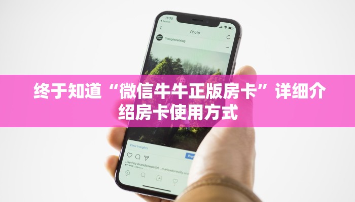  终于知道“微信牛牛正版房卡”详细介绍房卡使用方式