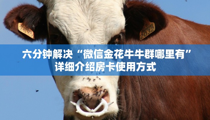 六分钟解决“微信金花牛牛群哪里有”详细介绍房卡使用方式