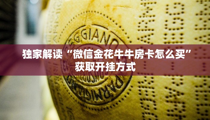 独家解读“微信金花牛牛房卡怎么买”获取开挂方式