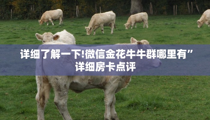 详细了解一下!微信金花牛牛群哪里有”详细房卡点评 详细了解一下!微信金花牛牛群哪里有”详细房卡点评