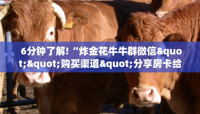  玩家攻略“炸金花房卡怎么搞到"怎么弄房卡"详细步骤分享！！！