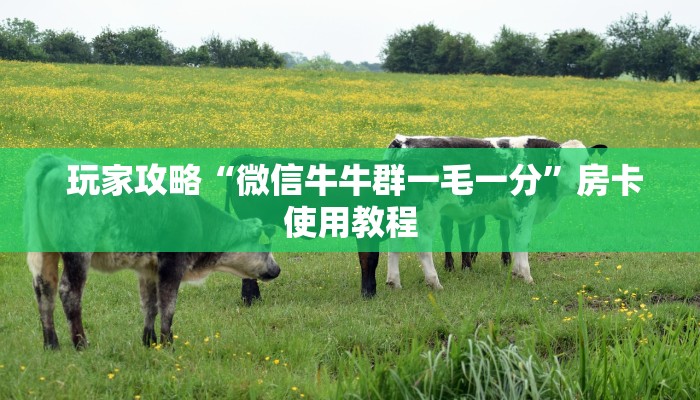  玩家攻略“微信牛牛群一毛一分”房卡使用教程