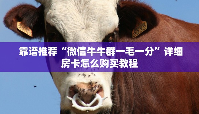  玩家分享“皇豪互娱购买房卡”详细介绍房卡使用方式