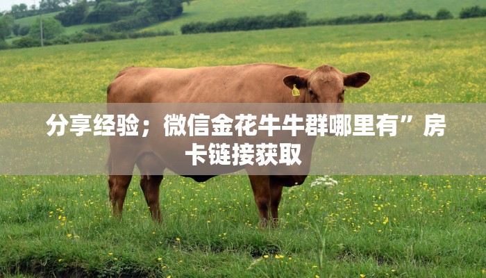 分享经验;微信金花牛牛群哪里有”房卡链接获取 分享经验;微信金花牛牛群哪里有”房卡链接获取