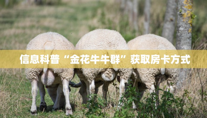  信息科普“金花牛牛群”获取房卡方式