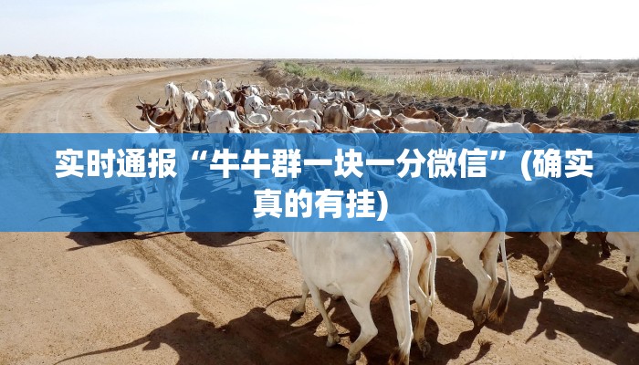 实时通报“牛牛群一块一分微信”(确实真的有挂) 实时通报“牛牛群一块一分微信”(确实真的有挂)