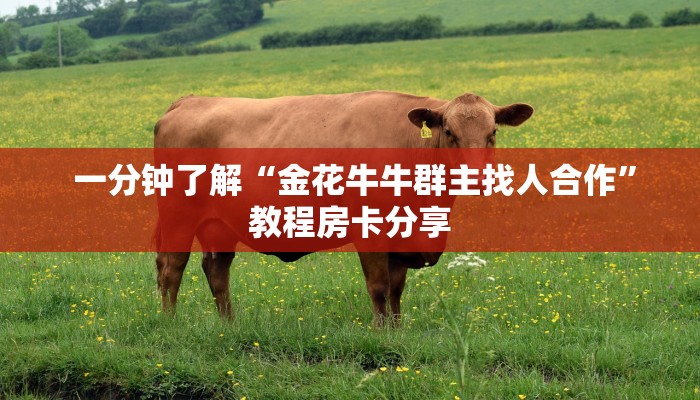 一分钟了解“金花牛牛群主找人合作”教程房卡分享 一分钟了解“金花牛牛群主找人合作”教程房卡分享