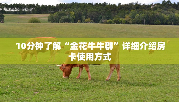 内幕解析“充值金花链接房卡”获取房卡方式 内幕解析“充值金花链接房卡”获取房卡方式