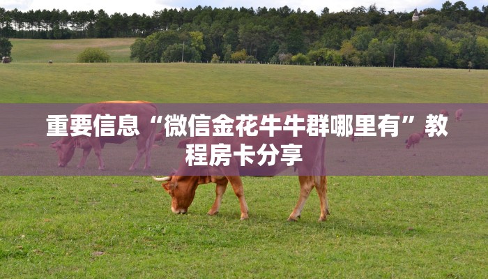  重要信息“微信金花牛牛群哪里有”教程房卡分享