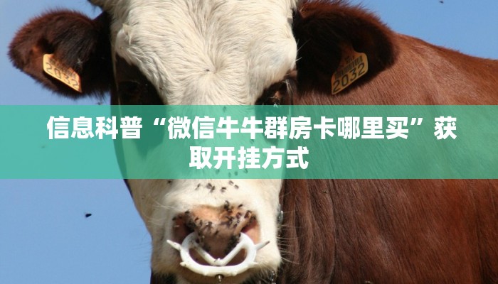 终于解决“微信牛牛正版房卡”详细房卡怎么购买教程 终于解决“微信牛牛正版房卡”详细房卡怎么购买教程