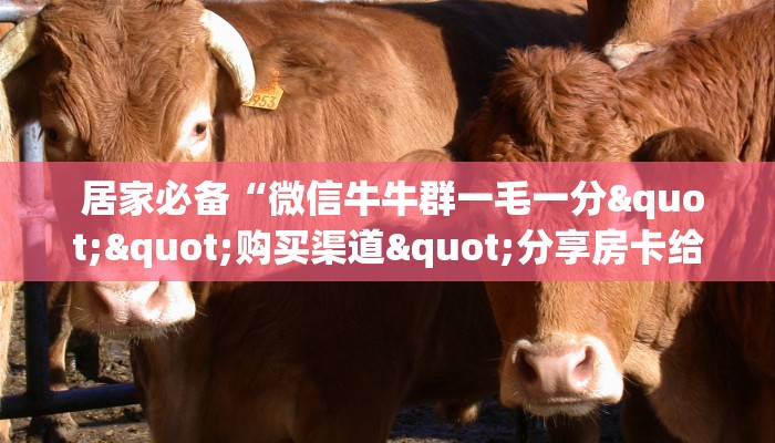 居家必备“微信牛牛群一毛一分""购买渠道"分享房卡给大家 居家必备“微信牛牛群一毛一分""购买渠道"分享房卡给大家