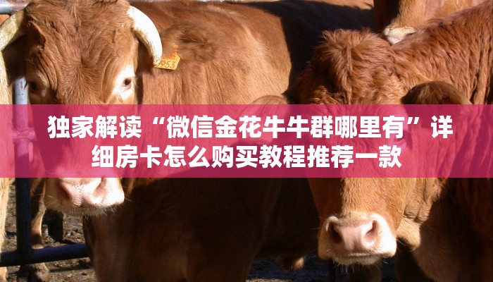 独家解读“微信金花牛牛群哪里有”详细房卡怎么购买教程推荐一款 独家解读“微信金花牛牛群哪里有”详细房卡怎么购买教程推荐一款