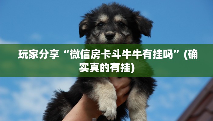  玩家分享“微信房卡斗牛牛有挂吗”(确实真的有挂)