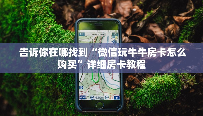  告诉你在哪找到“微信玩牛牛房卡怎么购买”详细房卡教程