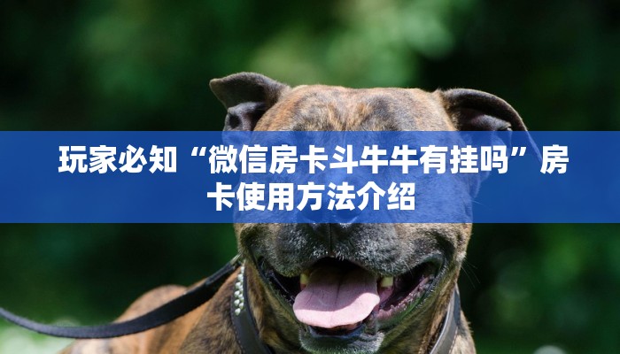  玩家必知“微信房卡斗牛牛有挂吗”房卡使用方法介绍