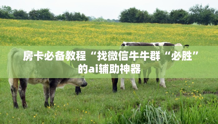 房卡必备教程“找微信牛牛群“必胜”的ai辅助神器 房卡必备教程“找微信牛牛群“必胜”的ai辅助神器