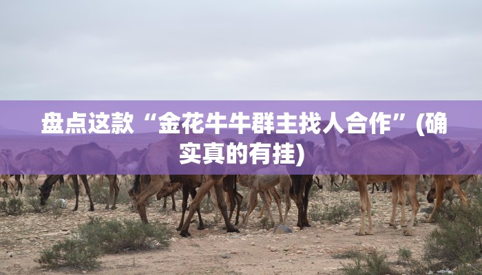 盘点这款“金花牛牛群主找人合作”(确实真的有挂) 盘点这款“金花牛牛群主找人合作”(确实真的有挂)
