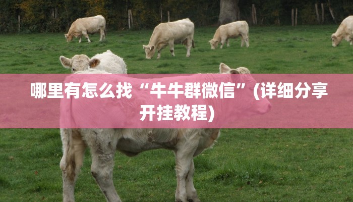  哪里有怎么找“牛牛群微信”(详细分享开挂教程)