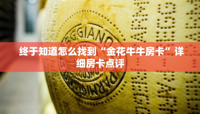  终于知道怎么找到“金花牛牛房卡”详细房卡点评