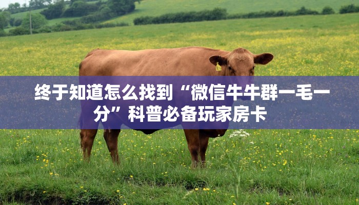  终于知道怎么找到“微信牛牛群一毛一分”科普必备玩家房卡