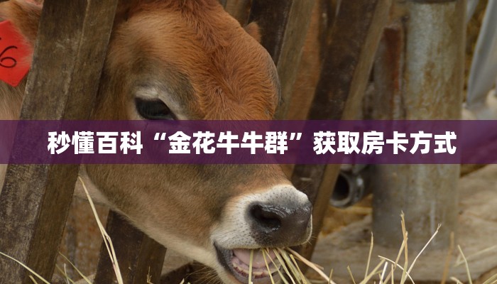  秒懂百科“金花牛牛群”获取房卡方式