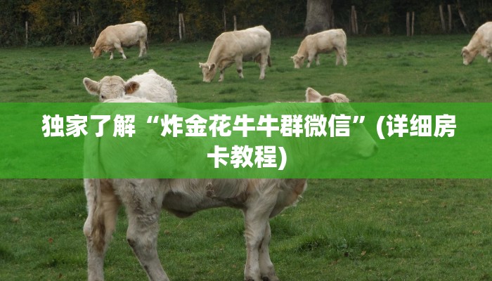  独家了解“炸金花牛牛群微信”(详细房卡教程)