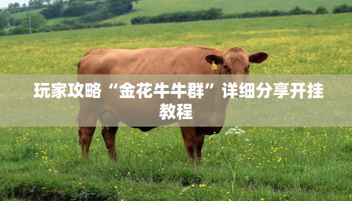  玩家攻略“金花牛牛群”详细分享开挂教程