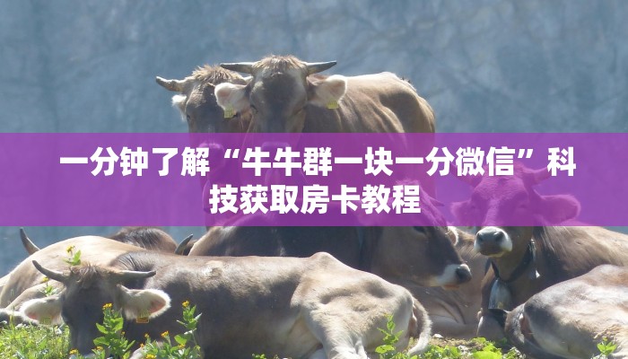  一分钟了解“牛牛群一块一分微信”科技获取房卡教程