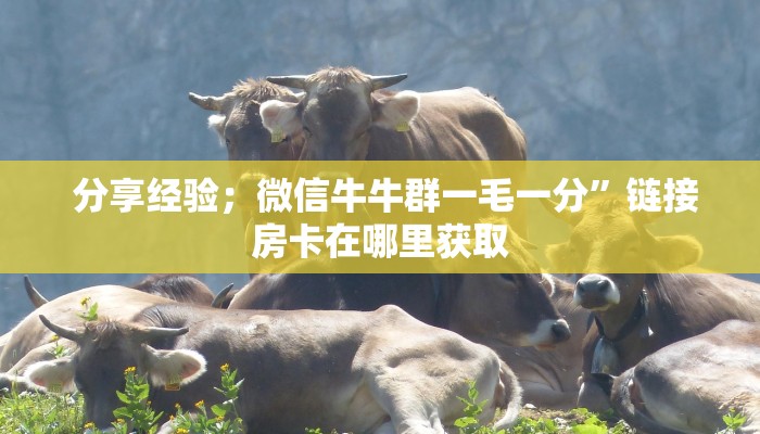  分享经验；微信牛牛群一毛一分”链接房卡在哪里获取