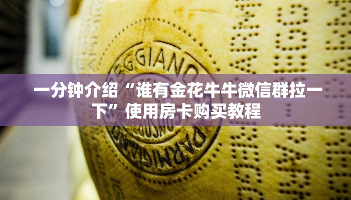  一分钟介绍“谁有金花牛牛微信群拉一下”使用房卡购买教程