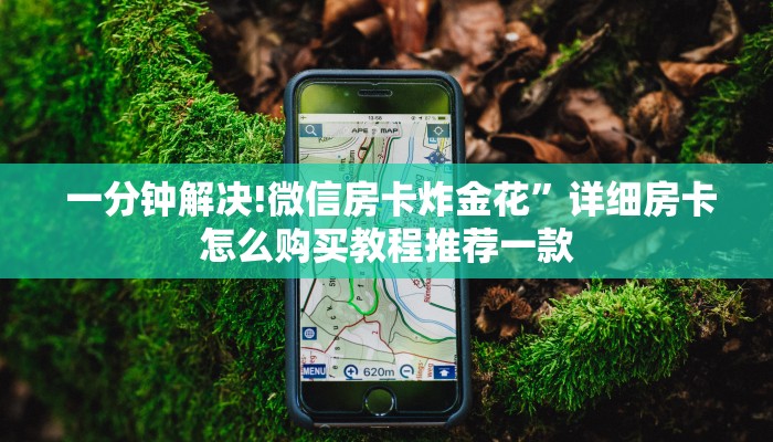 一分钟解决!微信房卡炸金花”详细房卡怎么购买教程推荐一款 一分钟解决!微信房卡炸金花”详细房卡怎么购买教程推荐一款