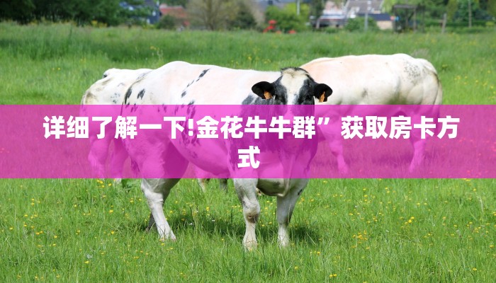 详细了解一下!金花牛牛群”获取房卡方式 详细了解一下!金花牛牛群”获取房卡方式