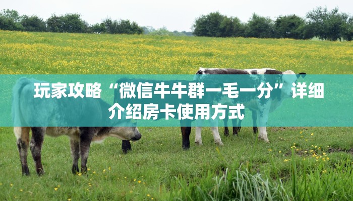  玩家攻略“微信牛牛群一毛一分”详细介绍房卡使用方式