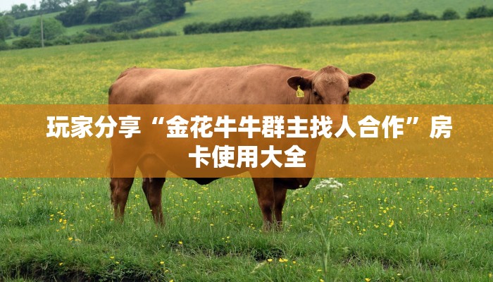  玩家分享“金花牛牛群主找人合作”房卡使用大全