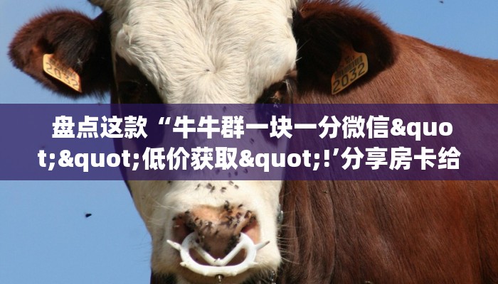  盘点这款“牛牛群一块一分微信""低价获取"!’分享房卡给大家