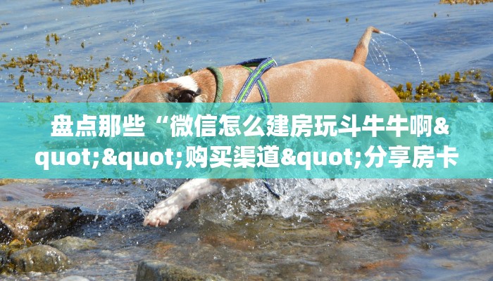 盘点那些“微信怎么建房玩斗牛牛啊""购买渠道"分享房卡给大家 盘点那些“微信怎么建房玩斗牛牛啊""购买渠道"分享房卡给大家