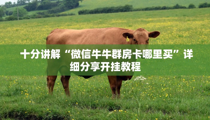  十分讲解“微信牛牛群房卡哪里买”详细分享开挂教程