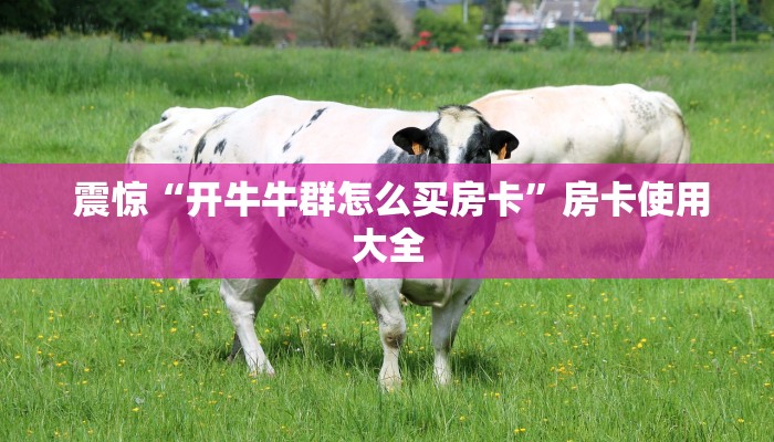  震惊“开牛牛群怎么买房卡”房卡使用大全