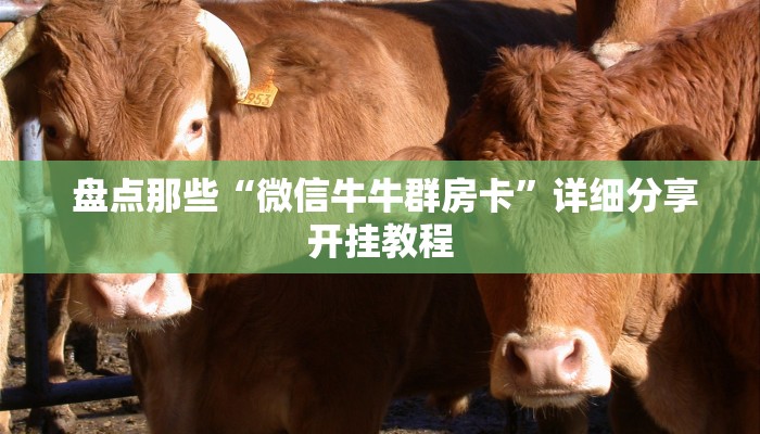 盘点那些“微信牛牛群房卡”详细分享开挂教程 盘点那些“微信牛牛群房卡”详细分享开挂教程